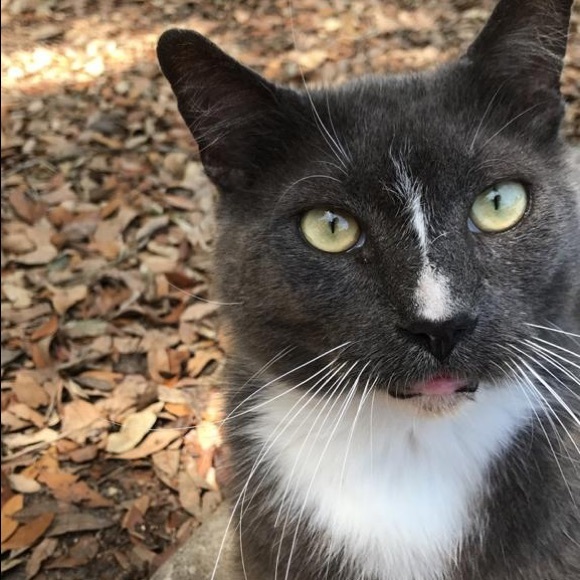 Meet your Posher, Chel - Picture 7 of 7